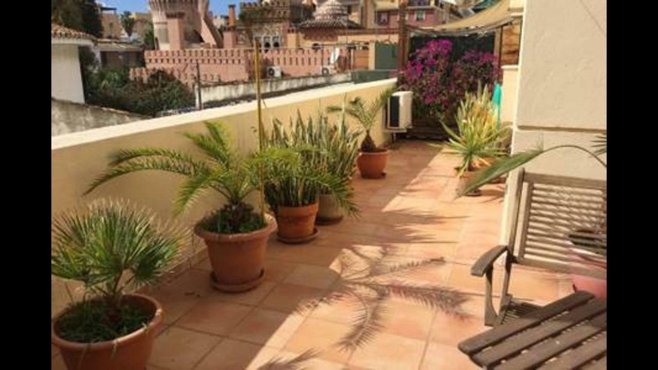 Kwatera prywatna Kentia Malaga